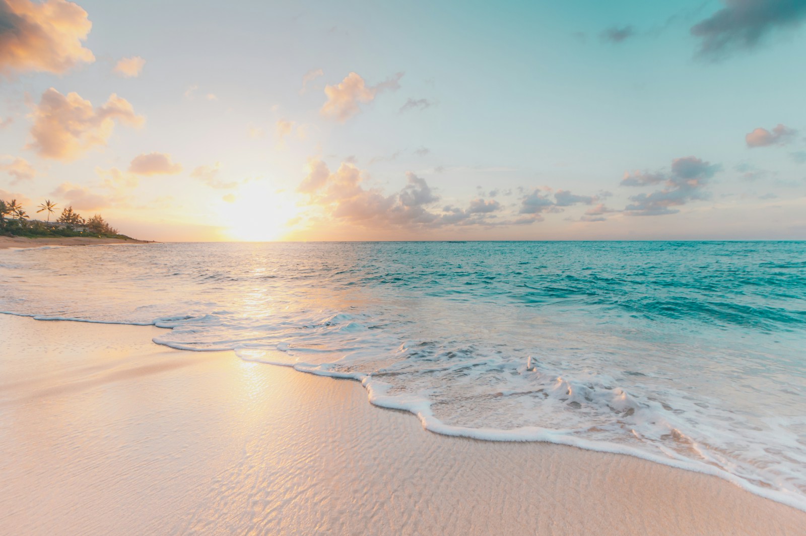 Sunkissed beach at golden hour